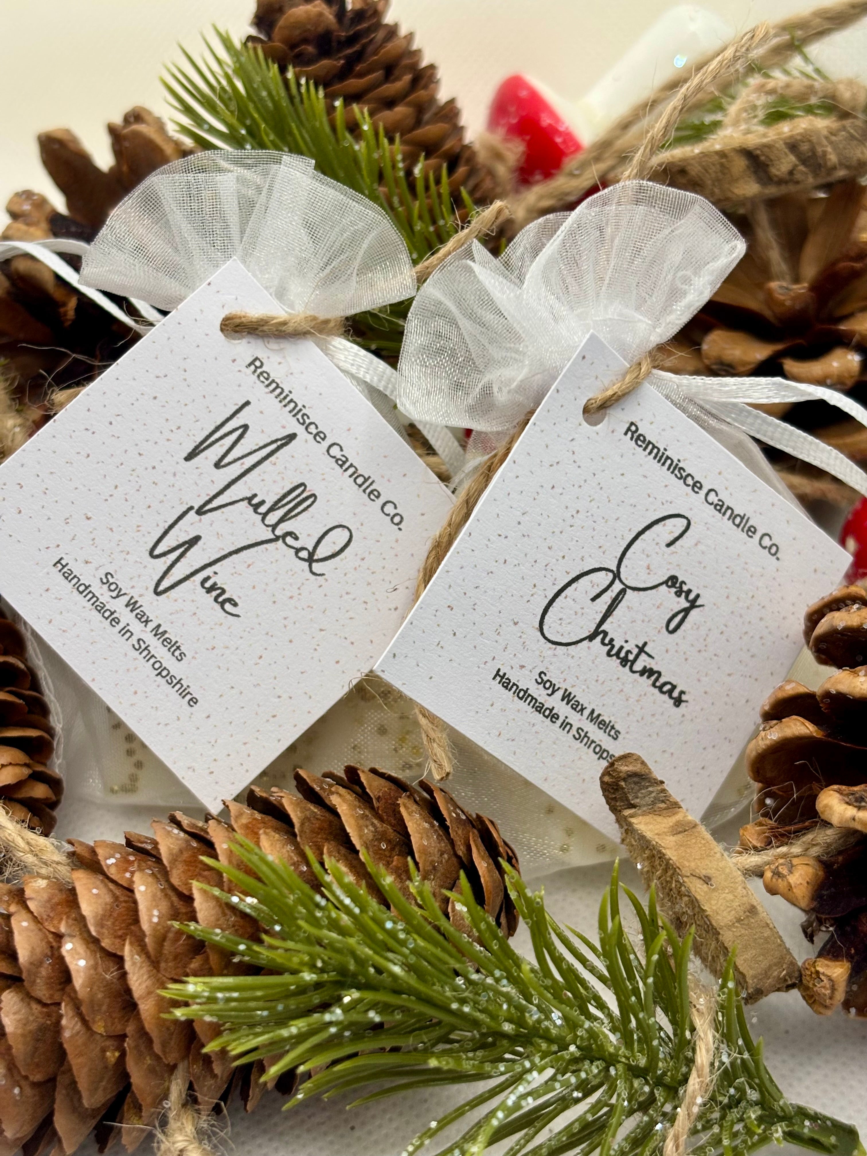 Discovery Box - Christmas Wax Melt Collection