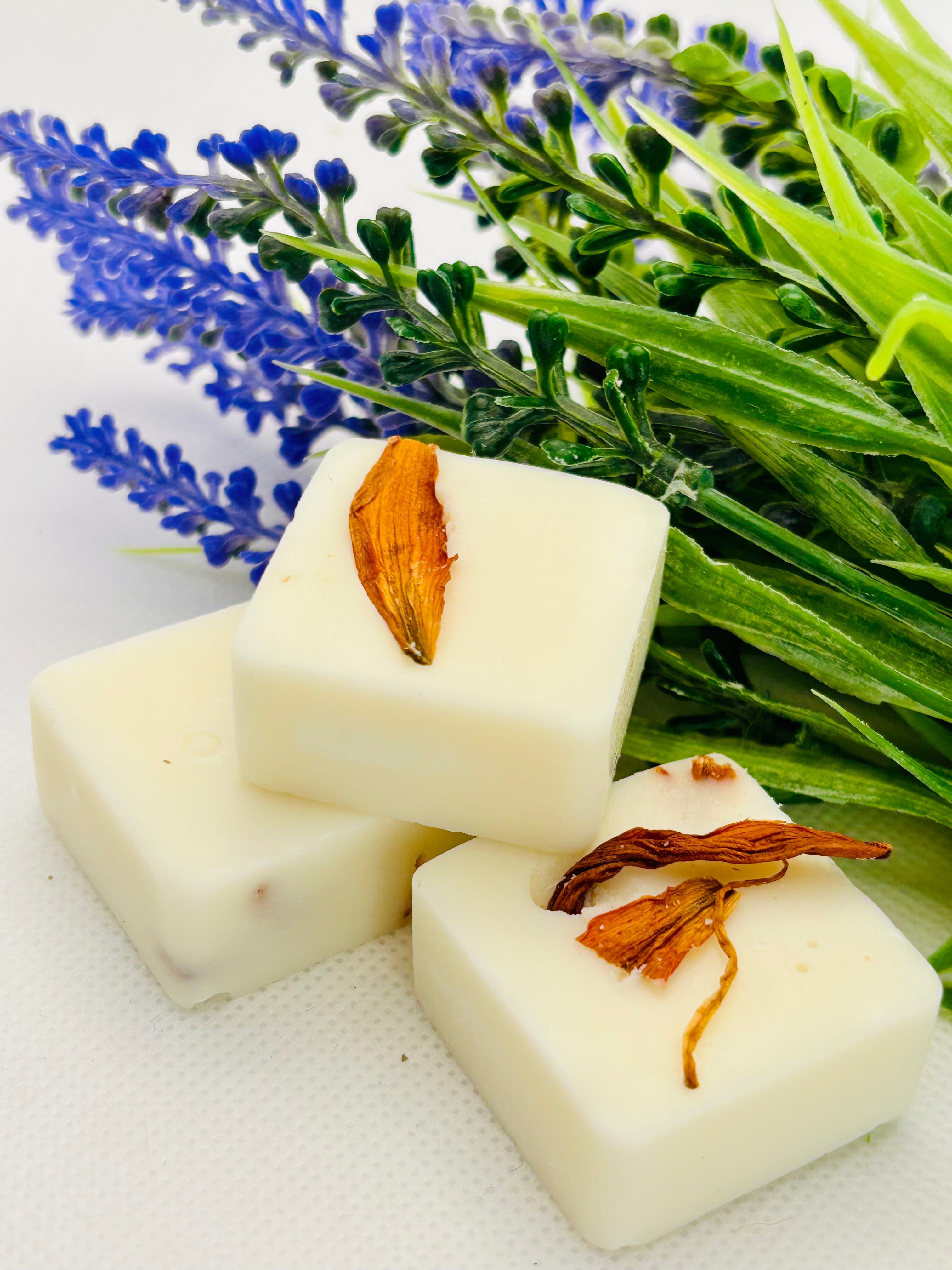 Vanilla, Musk & Coconut - Botanical Soy Wax Melts