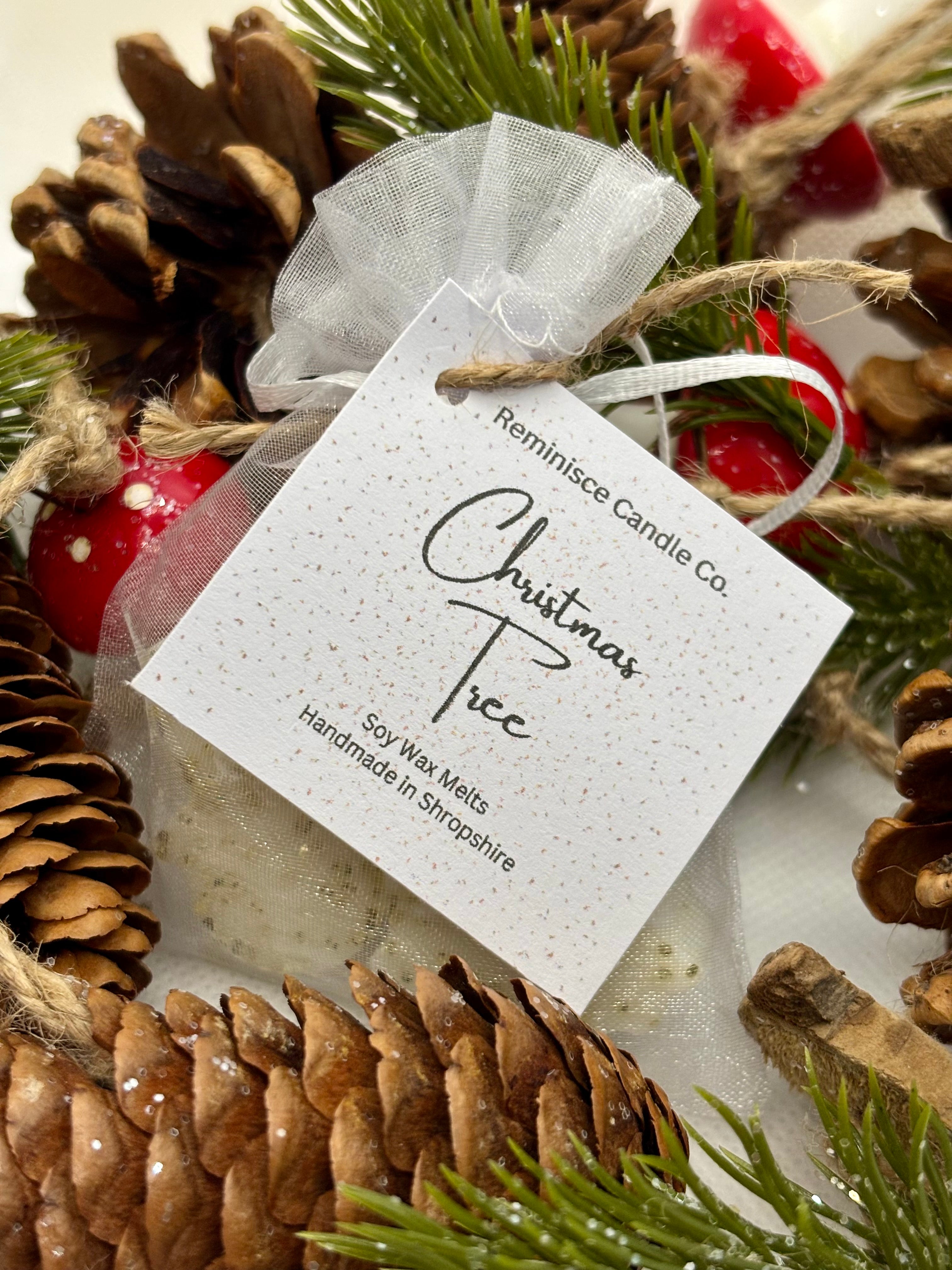 Discovery Box - Christmas Wax Melt Collection