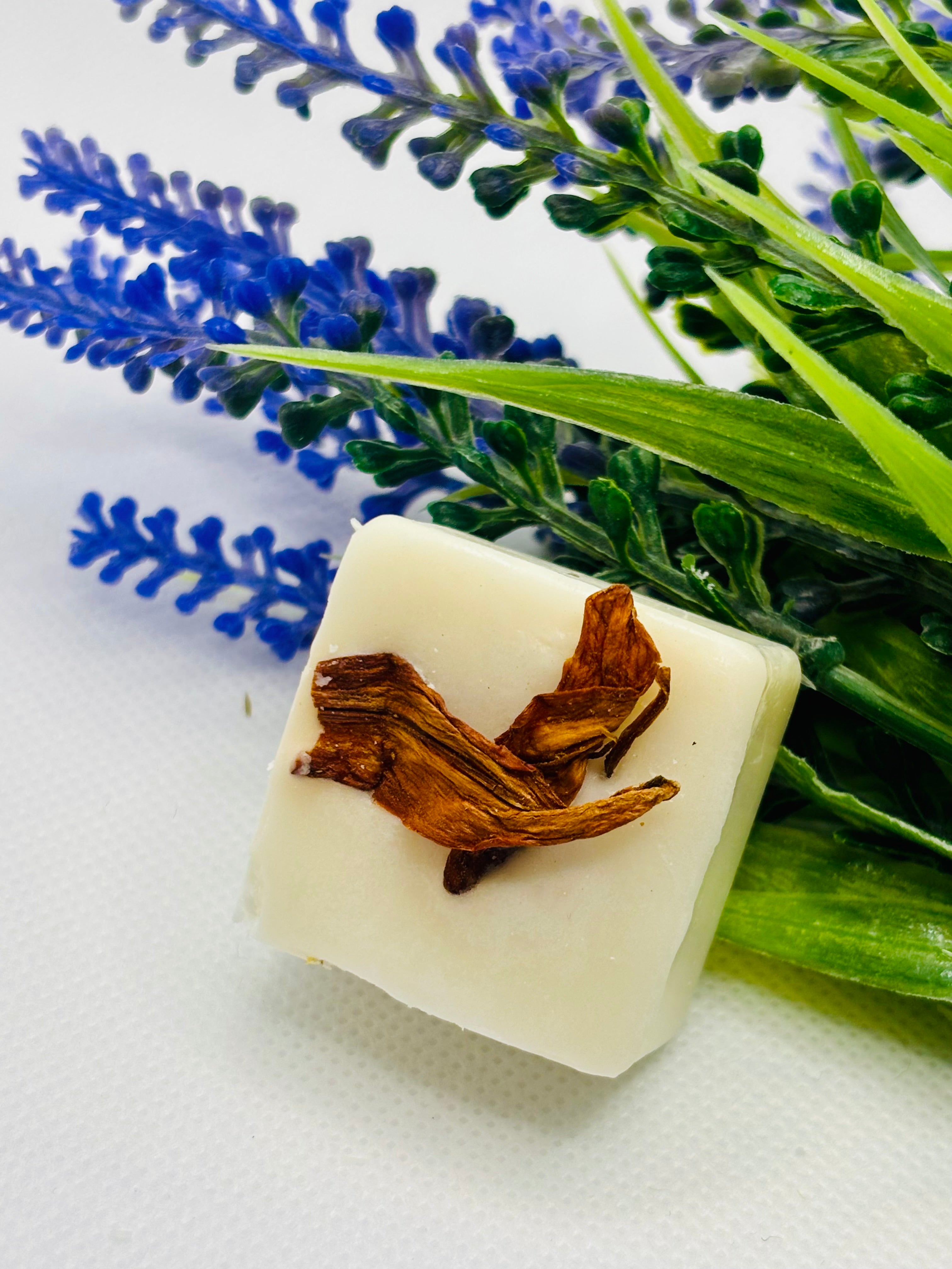 Vanilla, Musk & Coconut - Single Wax Melt