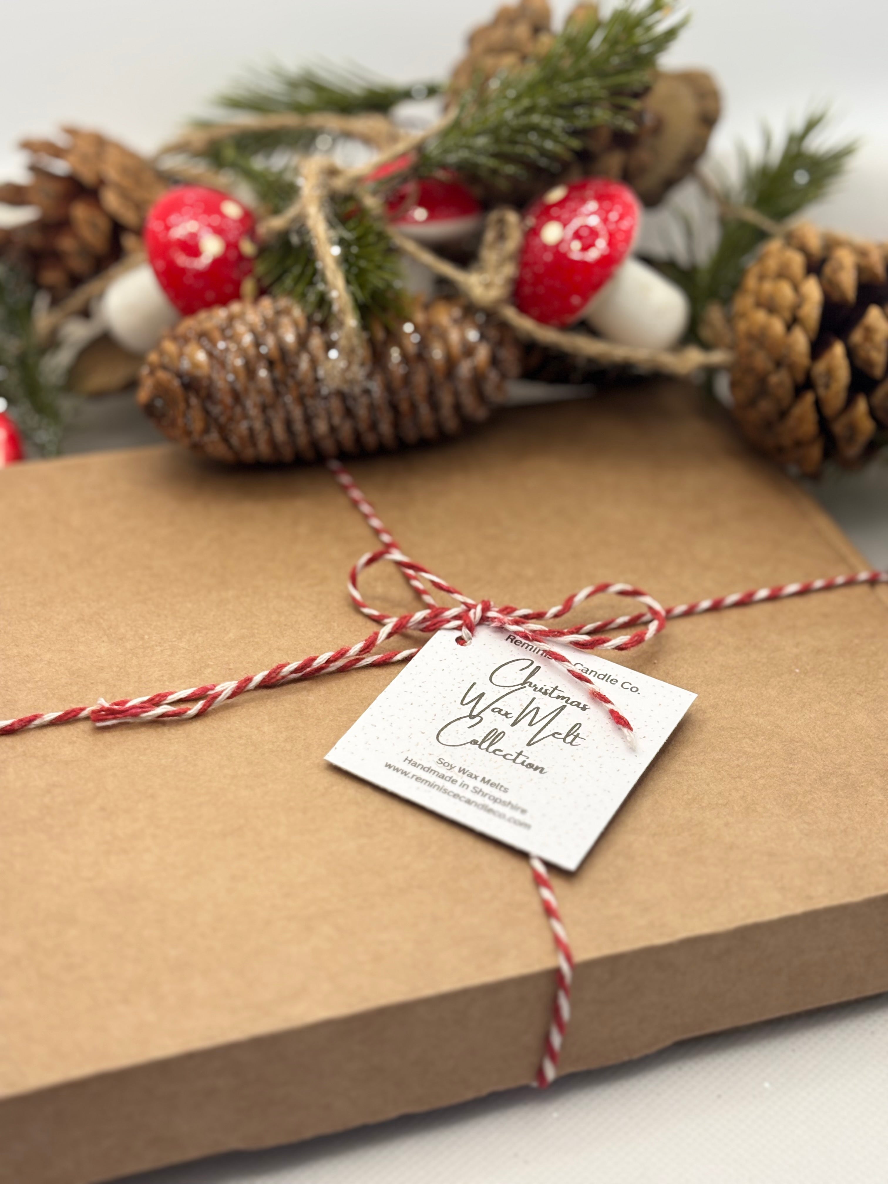 Discovery Box - Christmas Wax Melt Collection